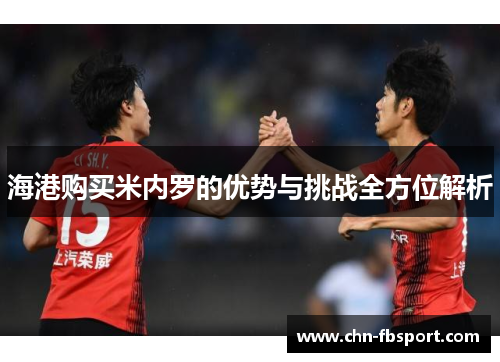 海港购买米内罗的优势与挑战全方位解析